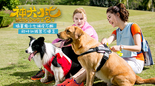 神犬小七第一季的38集节目的题目叫什么