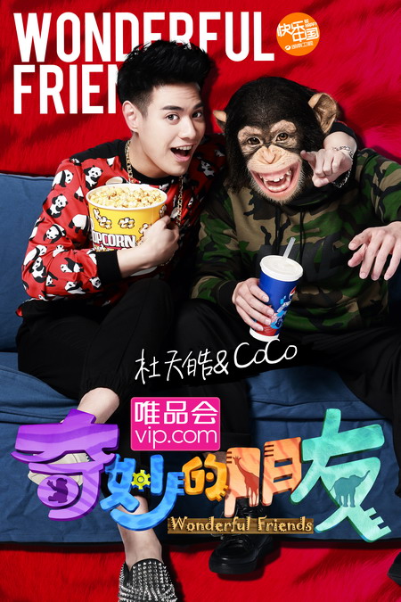 《奇妙的朋友》海报 曝光 李宇春 倪妮等加盟